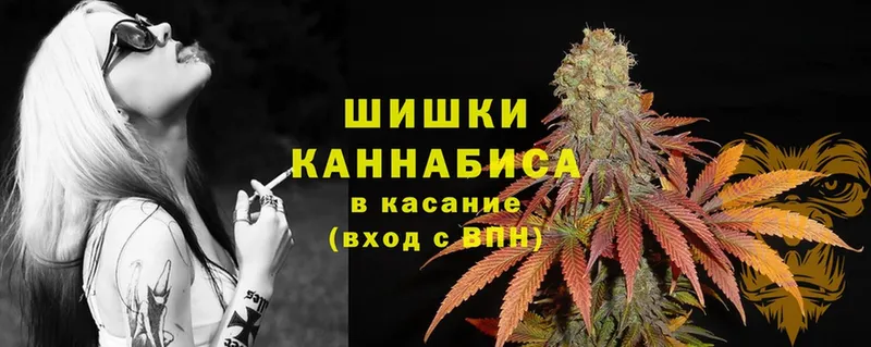 наркота  Морозовск  Конопля SATIVA & INDICA 